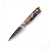 Fruit knife