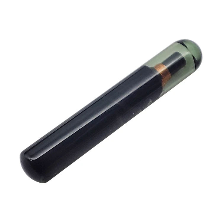 Car Key Chip Blank 4D60 TP06 80 Bit Glass Transponder Key Chip for F-ord ID 4D 60 Auto Car Key Chip