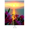 Multicolor-A04