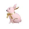 Pink Rabbit