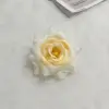 Champagne