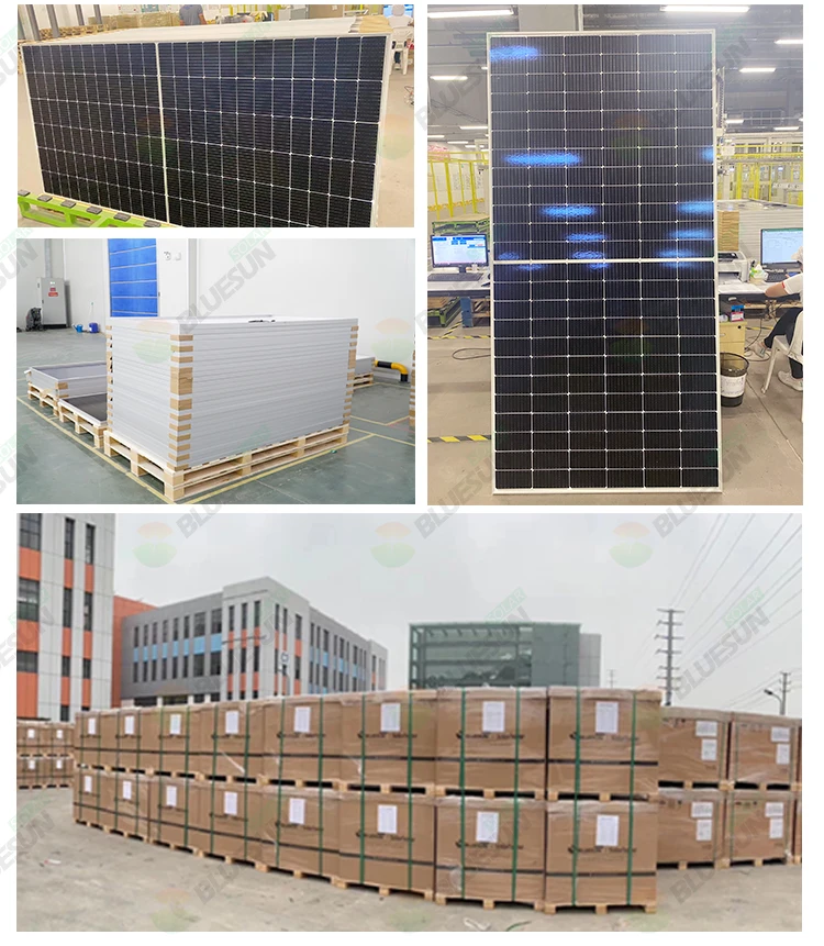 Bluesun Solar Pv Panels Bifacial Topcon 550w 590w 600w In High ...