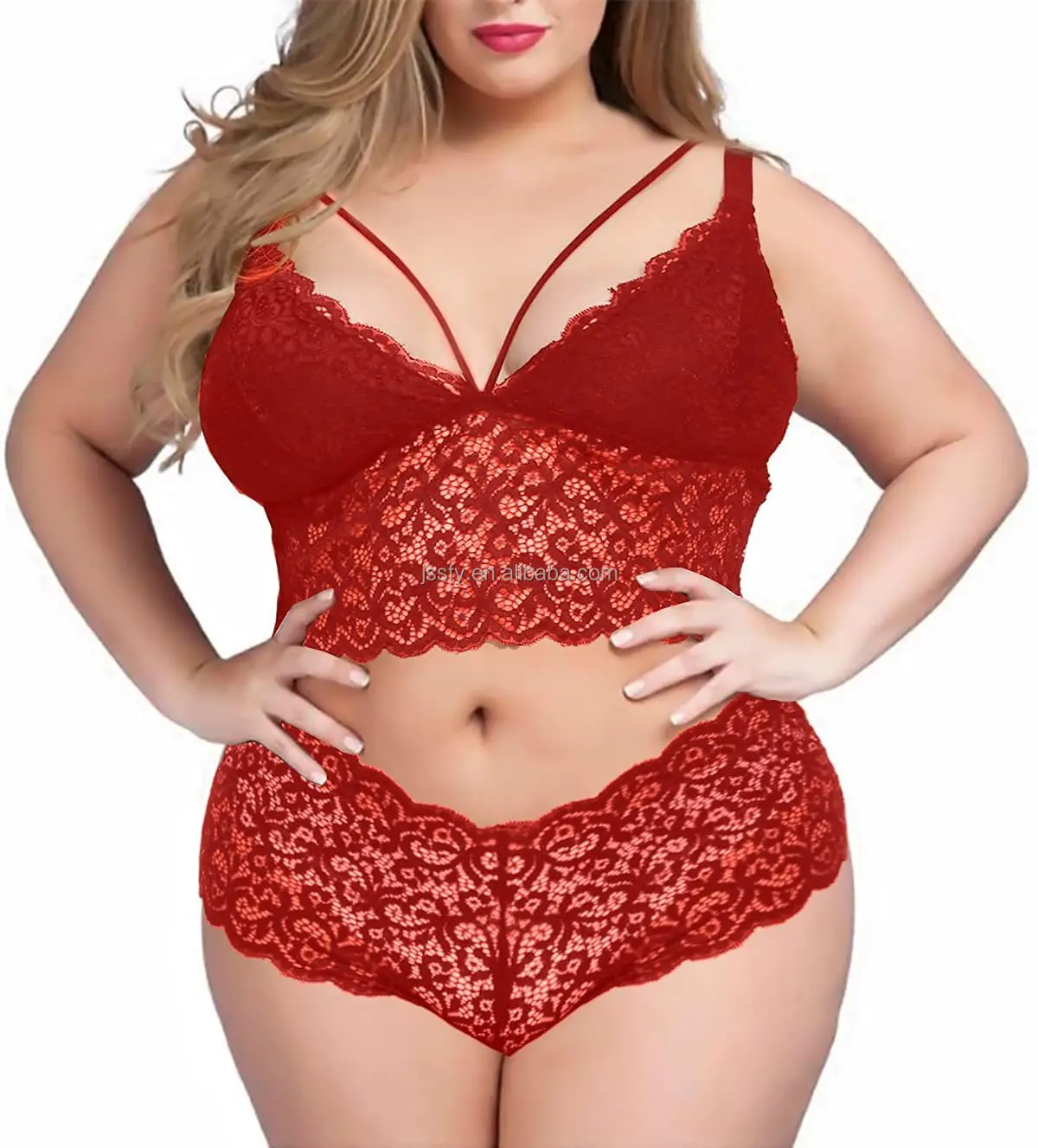 Sfy2326 Plus Size Sexy Femme Hollow Out Soft Lace Lingerie Set Seamless Bra High Waist Panty 3289