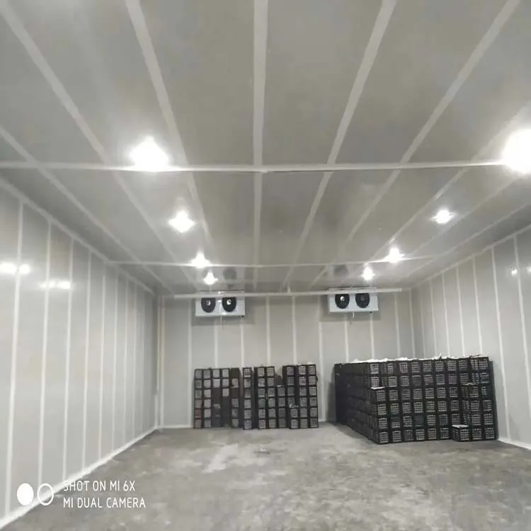 Cold Storage Cold Room Cooling System , Blast Freezer Room for Meat and Fish