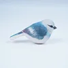 Pajarito grisáceo azulado de colores