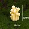 No. 3 White Jade Mushroom