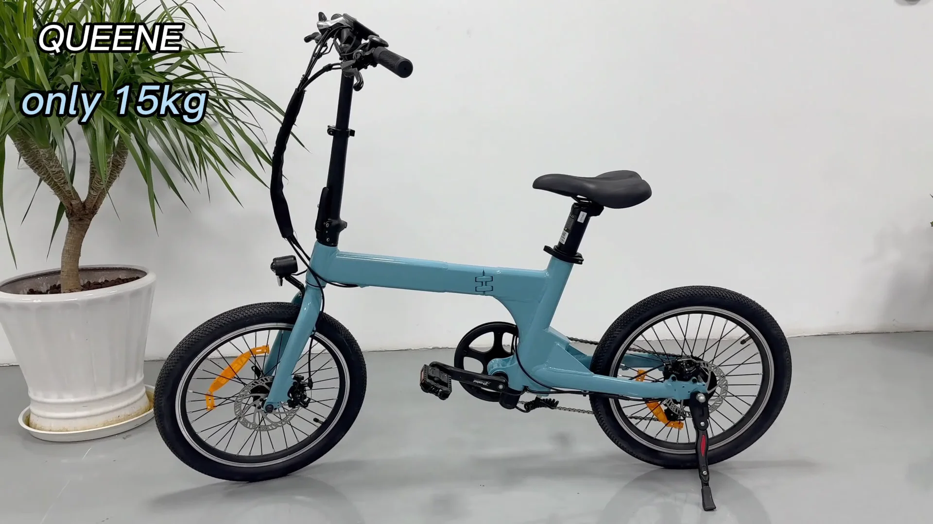 Queene Electric Bicycle Stock 250w 36v 20 Inch Magnesium Alloy Drive