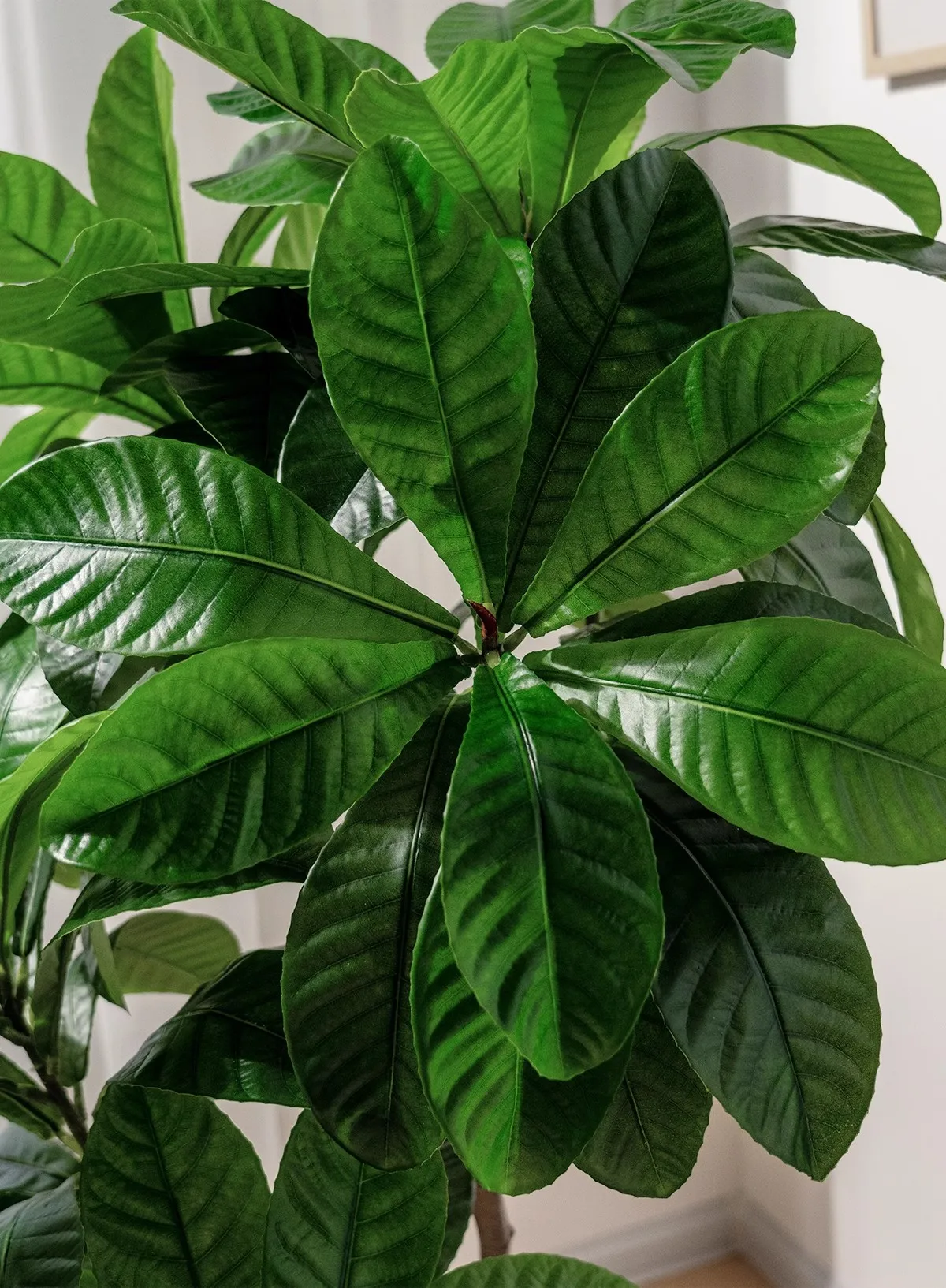 Artificial Plants Potted for Indoor Artificial Big Trees for Outdoor Simulation Plants Faked Plant Artificial Bonsai Decoration factory