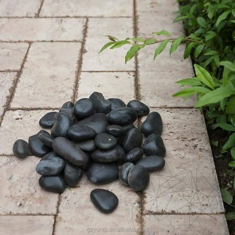 1 (43)