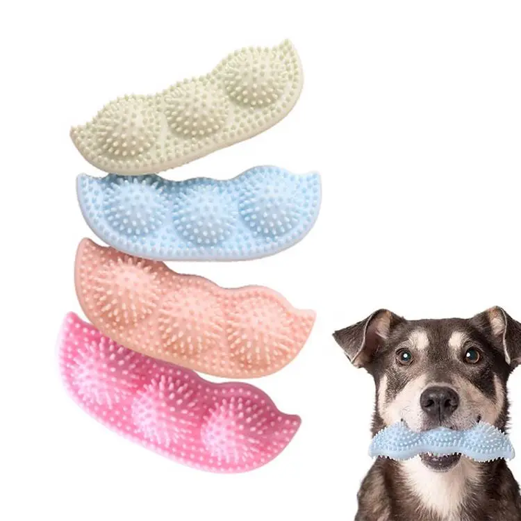 Why Do Dogs Chew Material