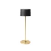 Carbon Fossile, Colore Gold