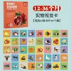 B12-36 เดือน
