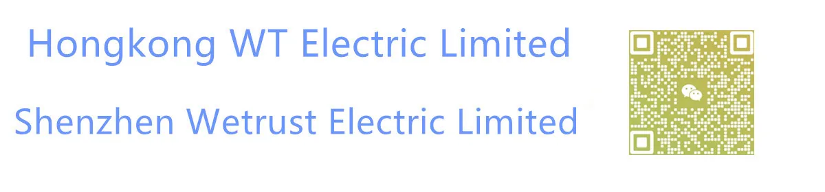 HONGKONG WT ELECTRIC LIMITED