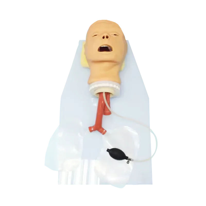 ADA-J50 Trachea Intubation Training Model With Alarm Device Airway School Teaching Manikin Neonate Infant Trachea Mode