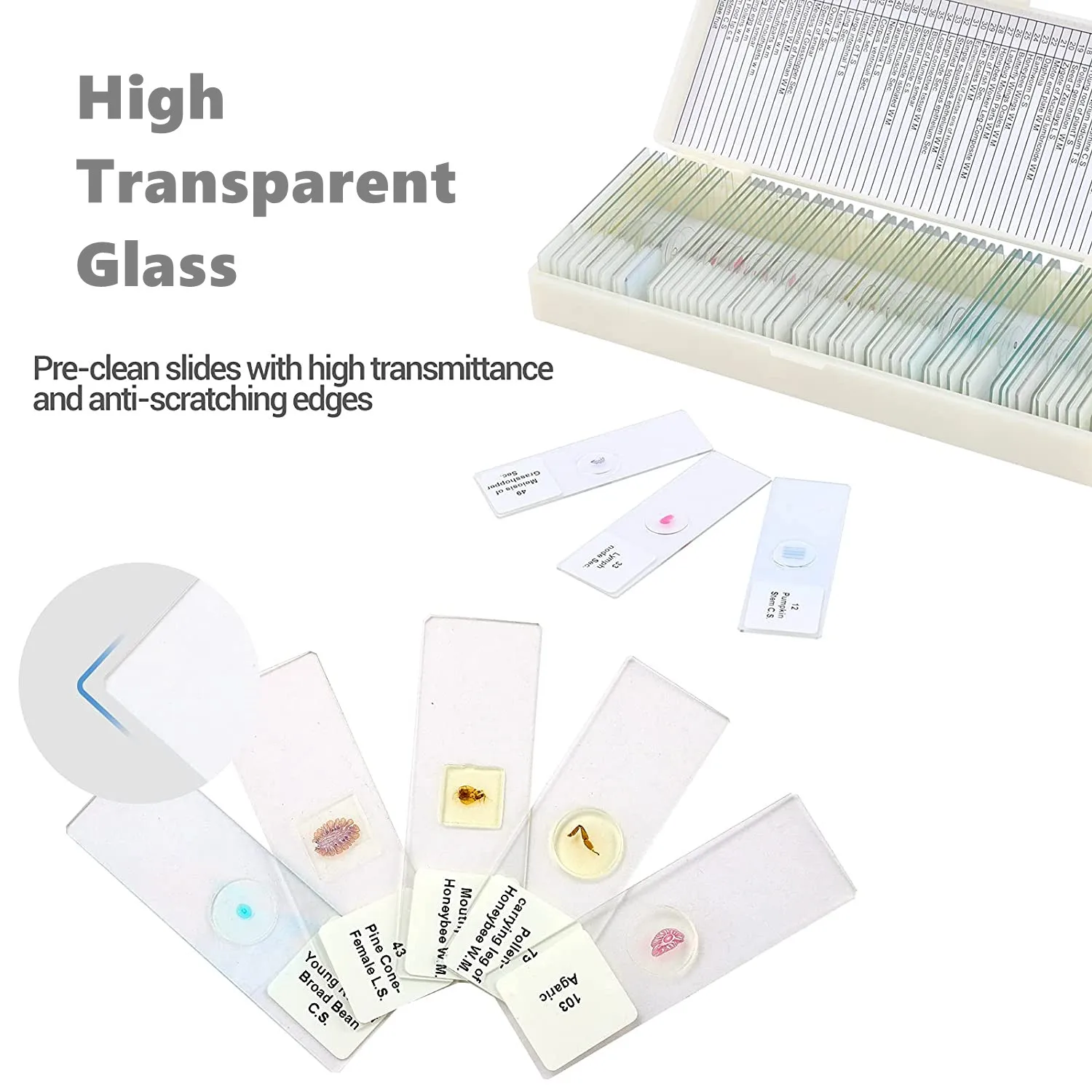 50pcs/set for Intermediate Level Prepared Microscope Glass Slides With Specimen Box Botany Zoology Insects for Teaching