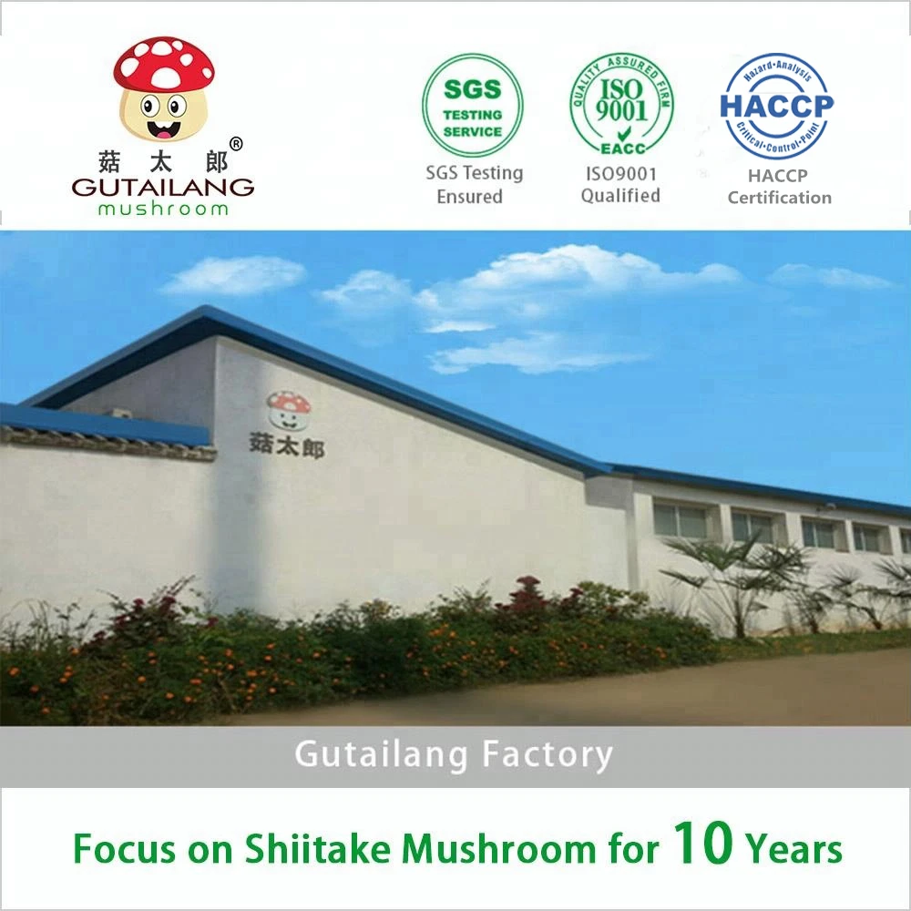 Сушеные измельченные стебли грибов шиитаке, измельченные стебли грибов, сырье для растительного мяса, оптовая продажа, дешевое веганское мясо