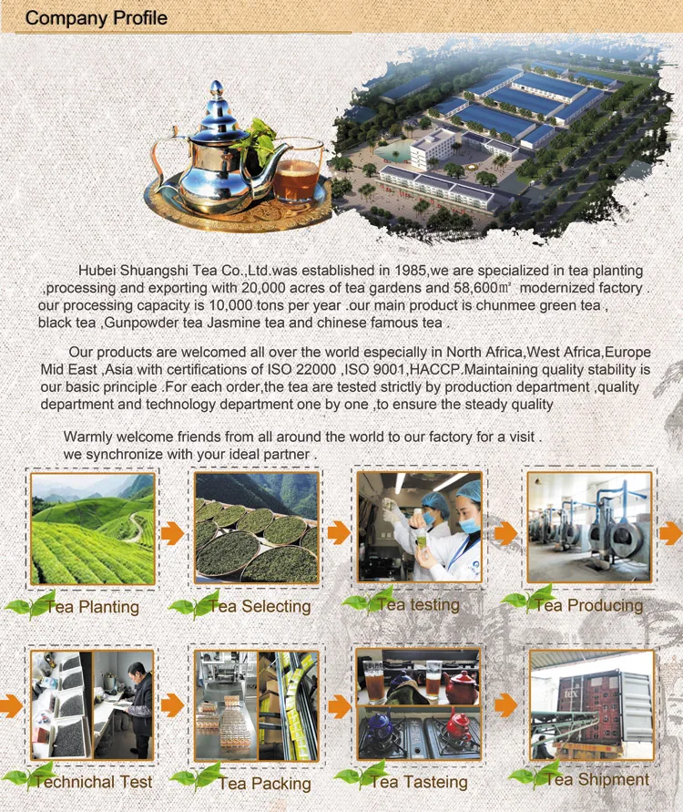 Company-Profile