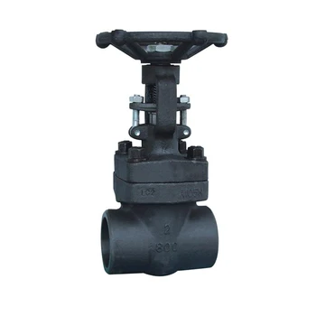 API A105 Threaded Small Ends Socket Weld Full Bore Gate Valve with Price