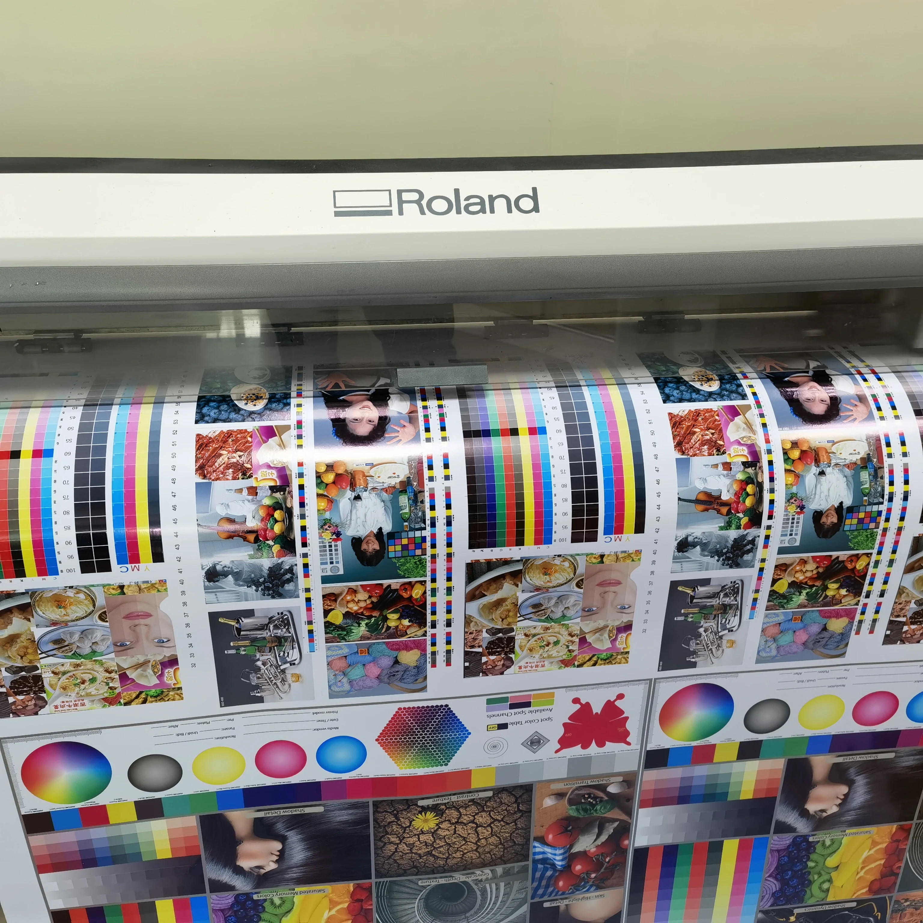 Used Plotter Banner Label Making Machine Roland Second Hand  RE640 Printer Printing on Vinyl Machine on Sale