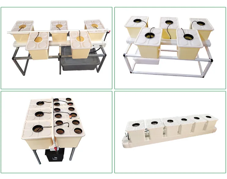 Dutch Bucket Plants Hydroponic Dutch Buckets With Lid And Net Pot 4