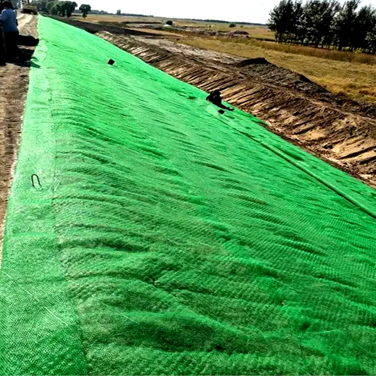 High Quality HDPE 3D  Geonet Composite Price Erosion Control Composite Drainage Geonet