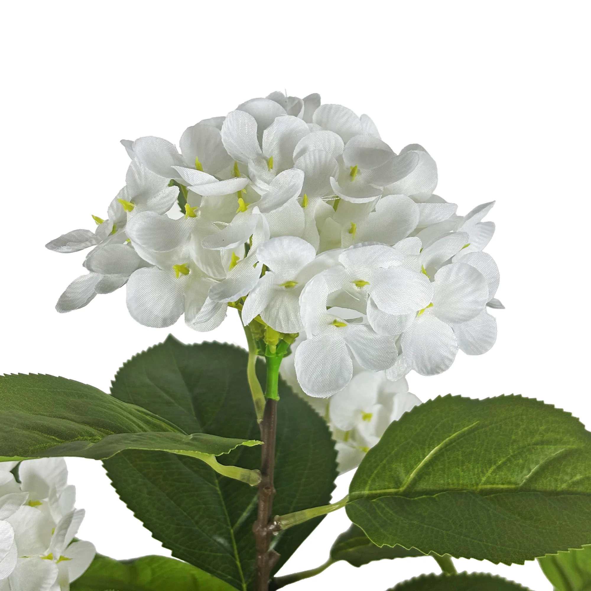 细节图1