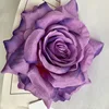 สีม่วงเข้ม