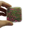 colorful Rose Red - mo Small Box Packaging
