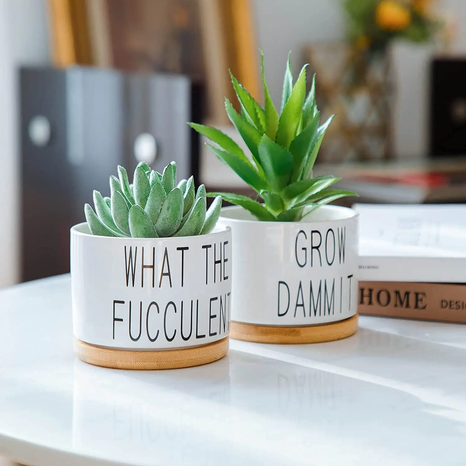 White Ceramic Funny Planter Pots Succulent Pots with Bamboo Tray ...