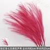 Rose-red 7-pronged firework reed stick