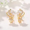 E2170 earrings