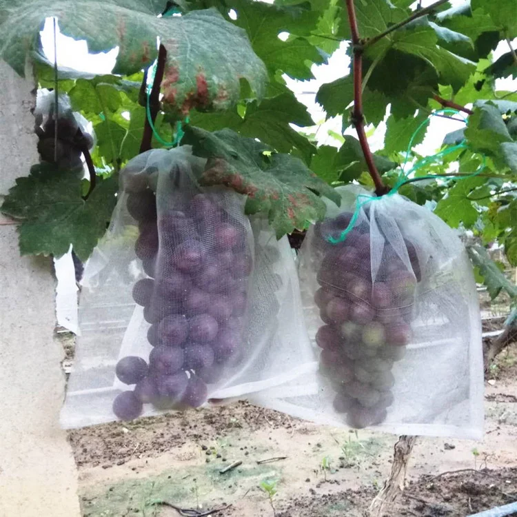 Agriculture Fruit Net Protection Bag Grape Anti Insect Mesh Netting