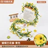 Phalaenopsis orchid vine - yellow