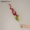 Campanilla de flor roja de una sola rama