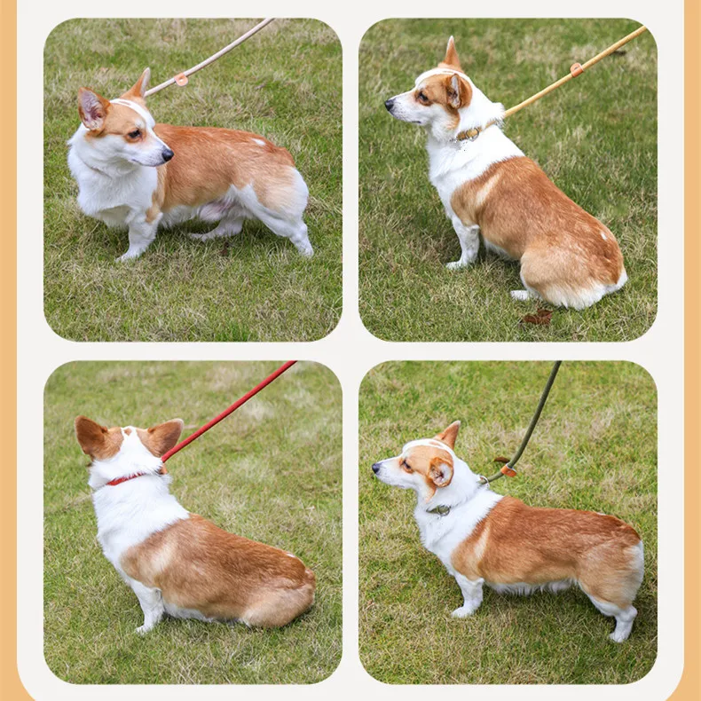 Strong dog leash