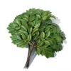 Ejército Green06