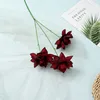 Une branche rouge foncé