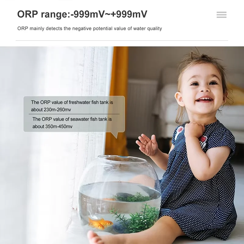 9001 9
