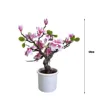 Rosa-50cm