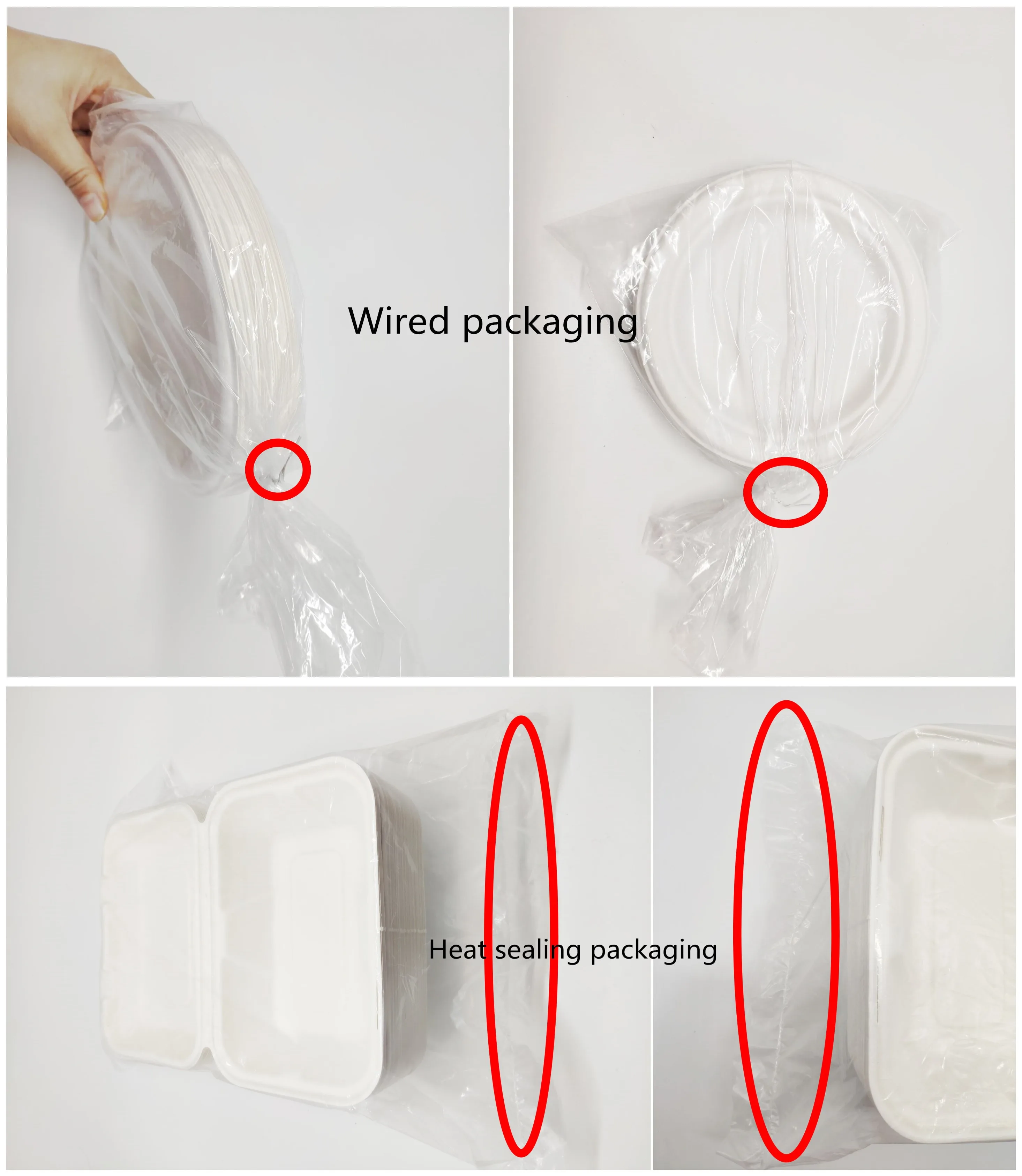 Disposable Biodegradable Plates Sugarcane Bagasse Paper Pulp Mould 6