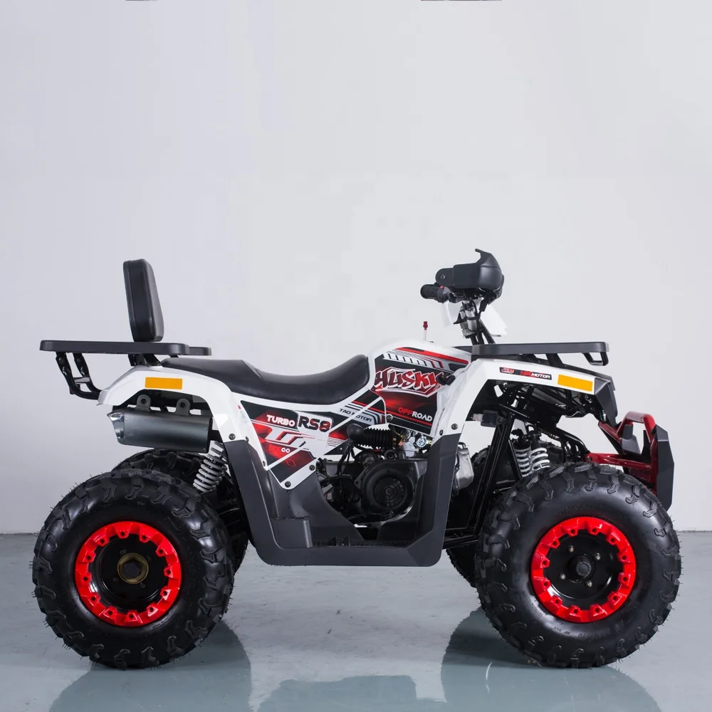 200cc taotao quad