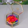 rosas de colores