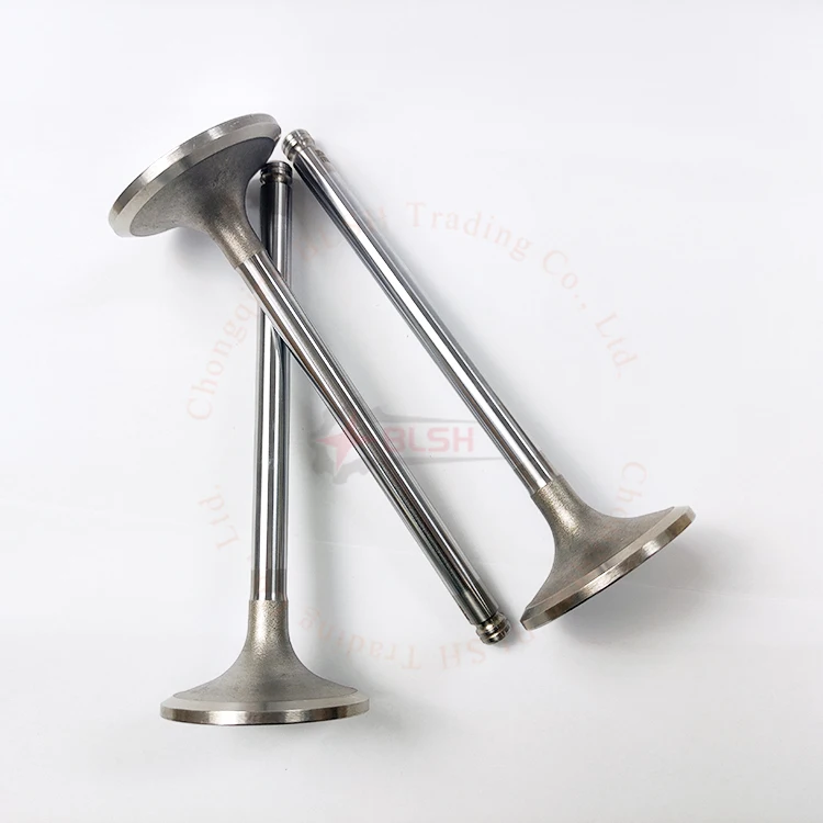 BLSH Customized Various Intake Valves Exhaust Valves for MAN16/24 YANMAR S165L M200L N18 N330