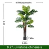 250cm