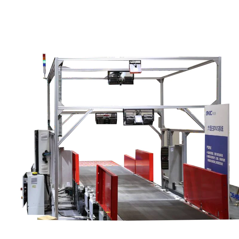 SNBC Intelligent DWS Dynamic Weighing and Dimensioning Machine for Automatic Sorting Conveyor System