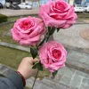 3 head curling rose red