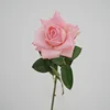 rosa intenso