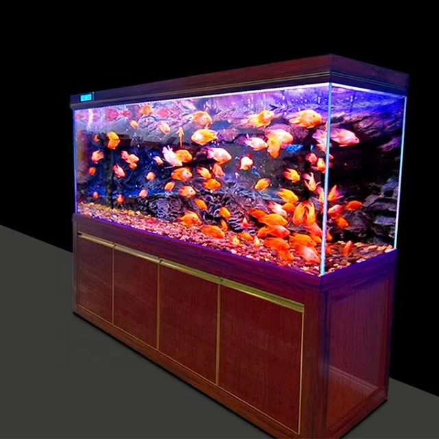 6ft 220 Gallon 19mm Ultra Clear Glass Large Saltwater Aquarium Fish Tank with Cabinet and Acrylic Sump