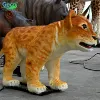 like picture