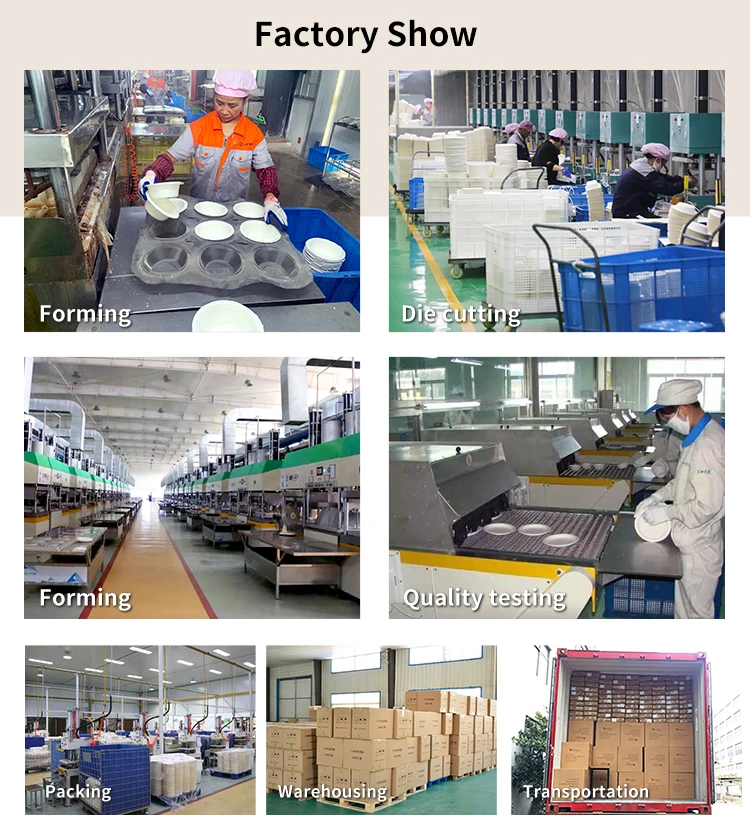 SenAng Disposable Biodegradable Sugarcane Bagasse Pulp Food Container Take Away Lunch Box with Lid